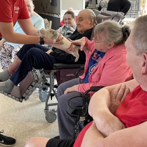 378699440_717879177024666_1694724580605788527_n